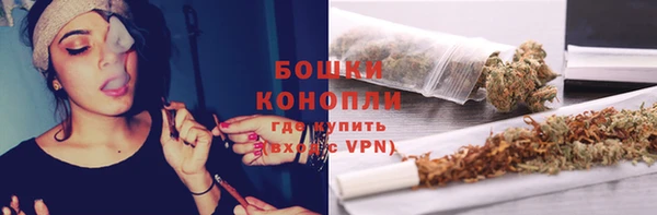 стафф Тутаев