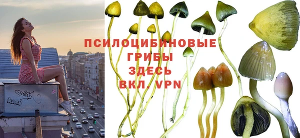 марки nbome Тында