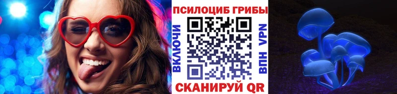 закладки  маркетплейс какой сайт  Псилоцибиновые грибы MAGIC MUSHROOMS  Арсеньев 