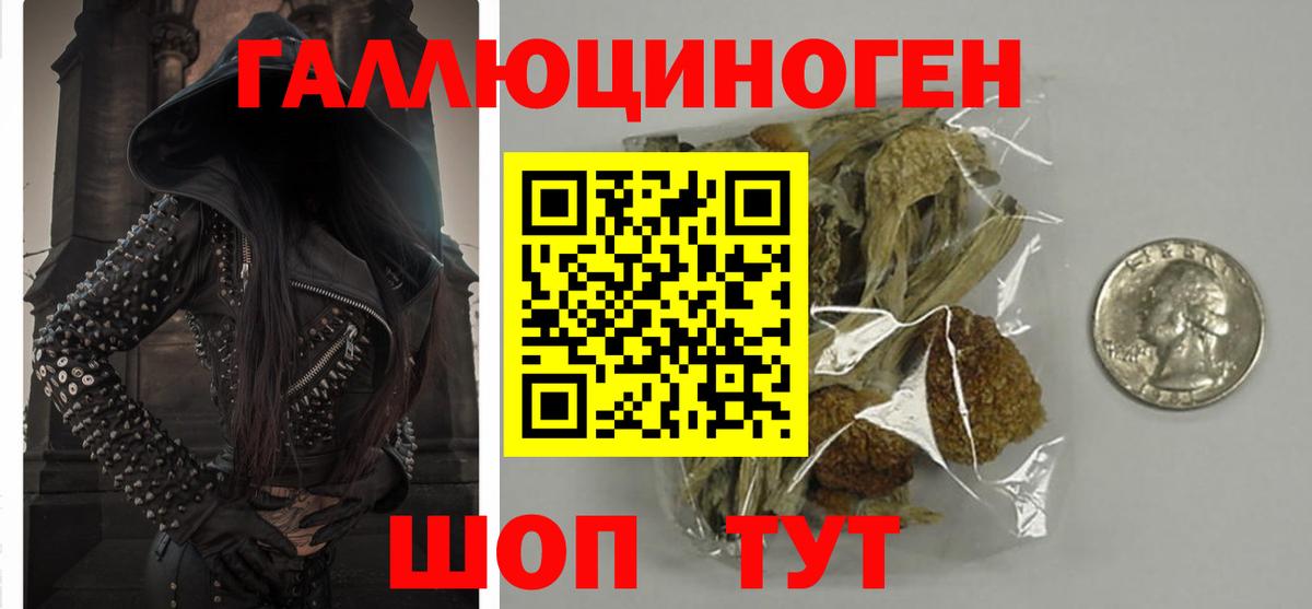 даркнет сайт  Псилоцибиновые грибы Psilocybine cubensis  Вход с VPN  Арсеньев  Псилоцибиновые грибы ЛСД 